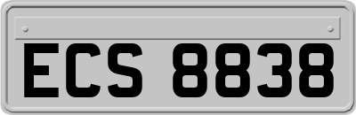 ECS8838