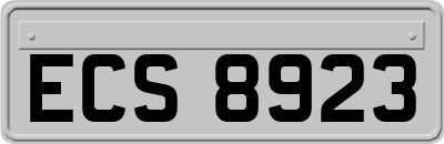 ECS8923