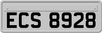 ECS8928