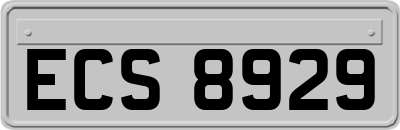 ECS8929