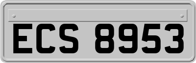 ECS8953