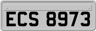 ECS8973