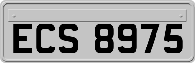 ECS8975