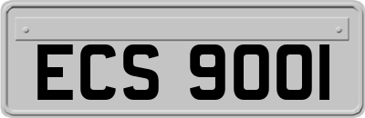 ECS9001