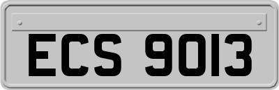 ECS9013
