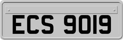 ECS9019