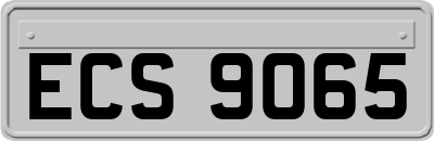 ECS9065