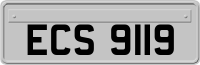 ECS9119