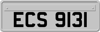 ECS9131