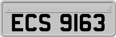 ECS9163