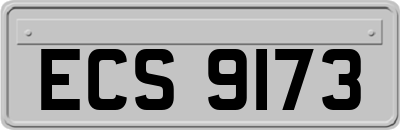 ECS9173