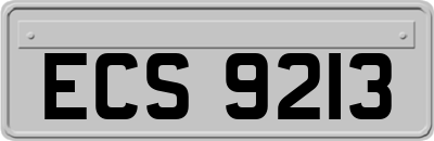 ECS9213