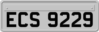 ECS9229