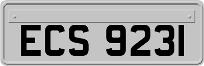 ECS9231
