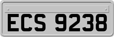 ECS9238