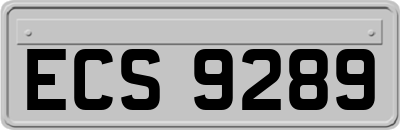 ECS9289