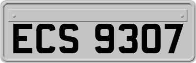 ECS9307