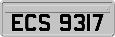 ECS9317