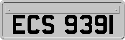 ECS9391
