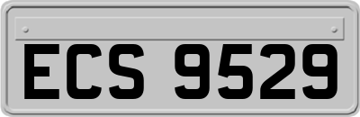 ECS9529