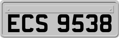 ECS9538