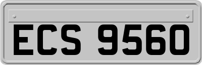 ECS9560