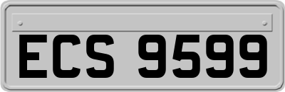 ECS9599
