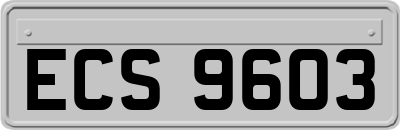 ECS9603