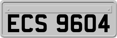 ECS9604
