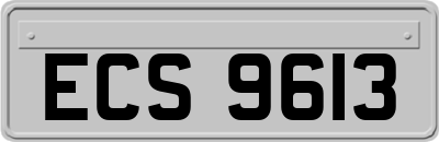 ECS9613