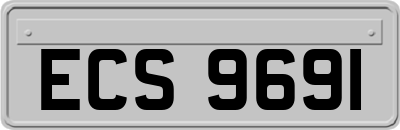 ECS9691