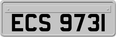 ECS9731