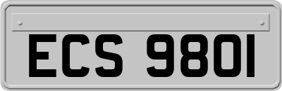 ECS9801