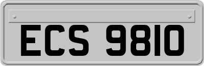 ECS9810