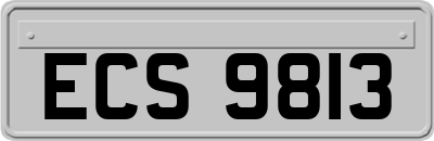ECS9813