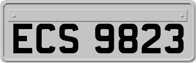 ECS9823