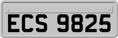 ECS9825