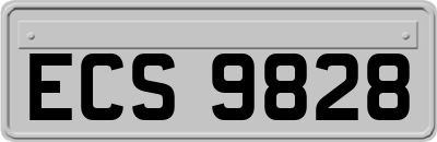 ECS9828