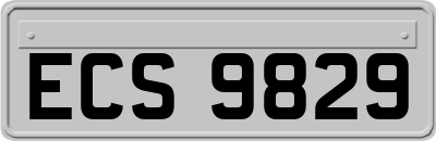 ECS9829