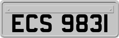 ECS9831