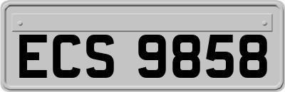 ECS9858