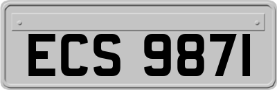 ECS9871