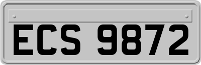 ECS9872