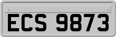 ECS9873