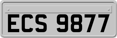 ECS9877