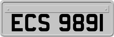 ECS9891