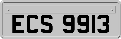 ECS9913