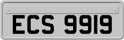 ECS9919