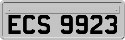 ECS9923