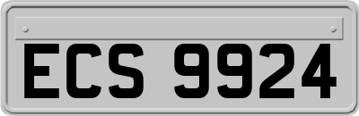 ECS9924